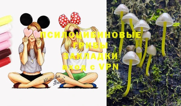 альфа пвп Надым